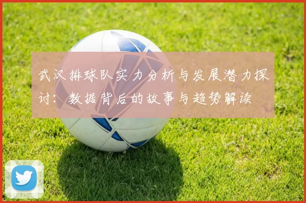 武汉排球队实力分析与发展潜力探讨:数据背后的故事与趋势解读