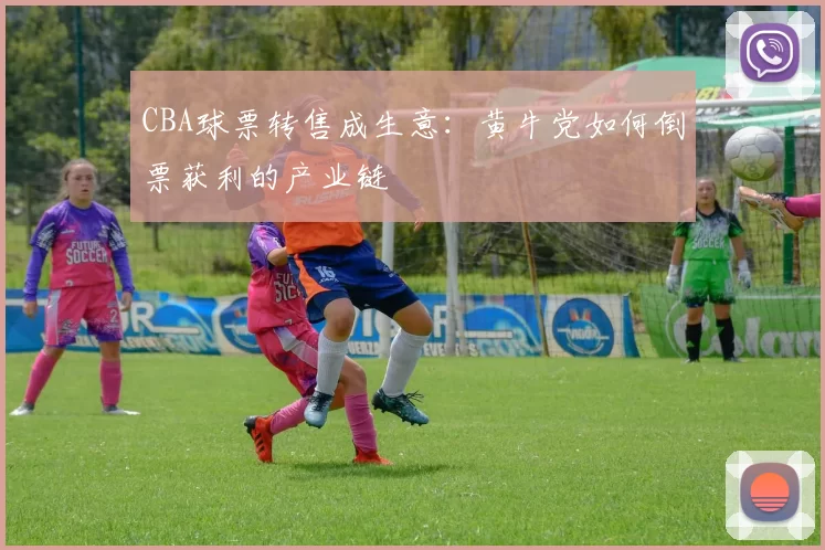 CBA球票转售成生意：黄牛党如何倒票获利的产业链