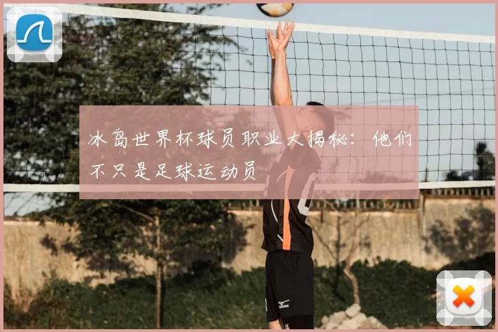 冰岛世界杯球员职业大揭秘:他们不只是足球运动员