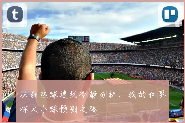 从狂热球迷到冷静分析:我的世界杯大小球预测之路