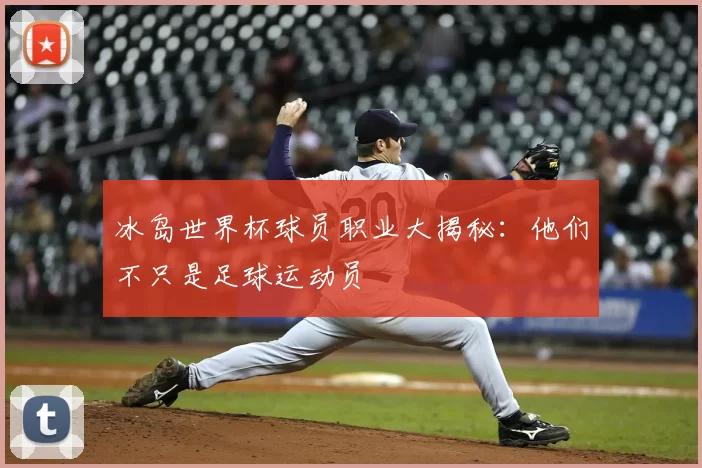 冰岛世界杯球员职业大揭秘:他们不只是足球运动员