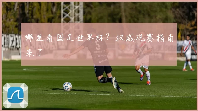 哪里看国足世界杯?权威观赛指南来了