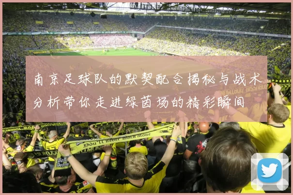 南京足球队的默契配合揭秘与战术分析带你走进绿茵场的精彩瞬间