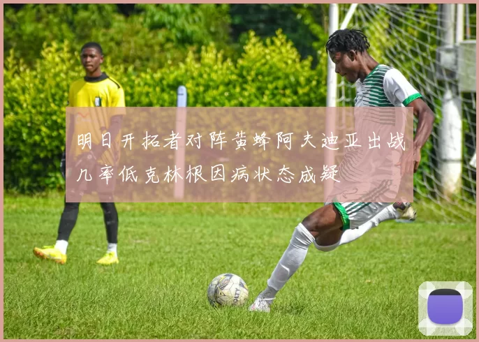 明日开拓者对阵黄蜂阿夫迪亚出战几率低克林根因病状态成疑