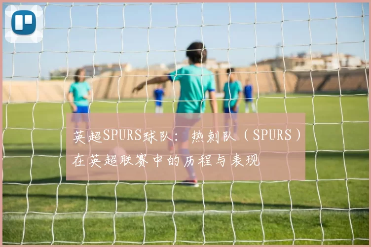 英超SPURS球队：热刺队（SPURS）在英超联赛中的历程与表现
