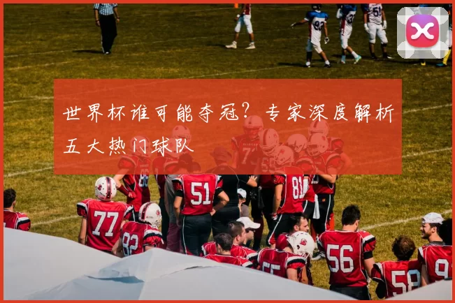 世界杯谁可能夺冠?专家深度解析五大热门球队