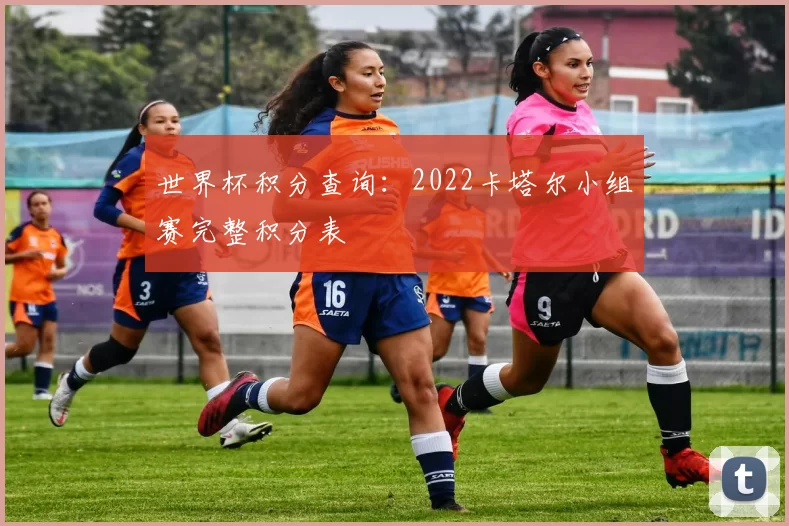世界杯积分查询:2022卡塔尔小组赛完整积分表