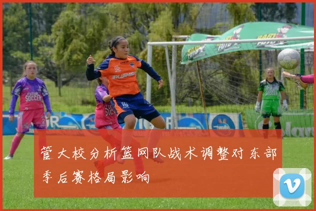 管大校分析篮网队战术调整对东部季后赛格局影响